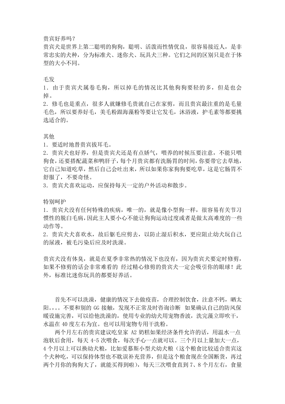 2个月左右泰迪饲养指南_第1页