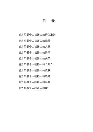 2小时认识能力风暴个人机器人word文档