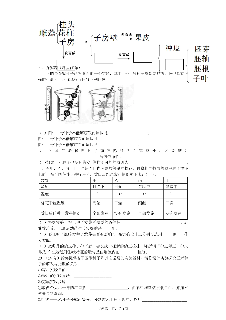 3.2被子植物的一生课后练习_第3页