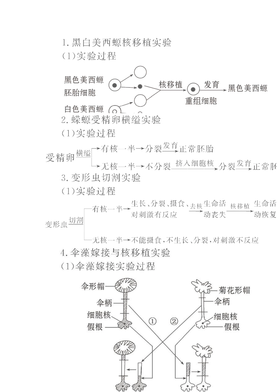 3.3细胞核—系统的控制中心学案新人教版必修1_第2页