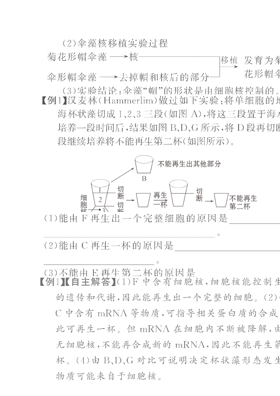 3.3细胞核—系统的控制中心学案新人教版必修1_第3页
