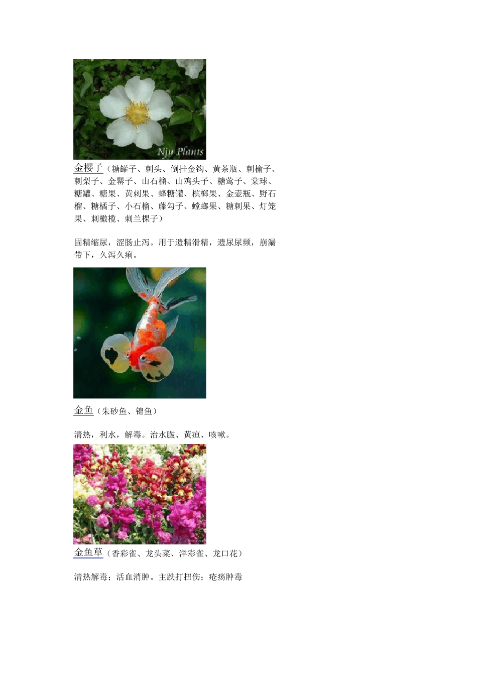 3000种中医药材第11011200种_第1页