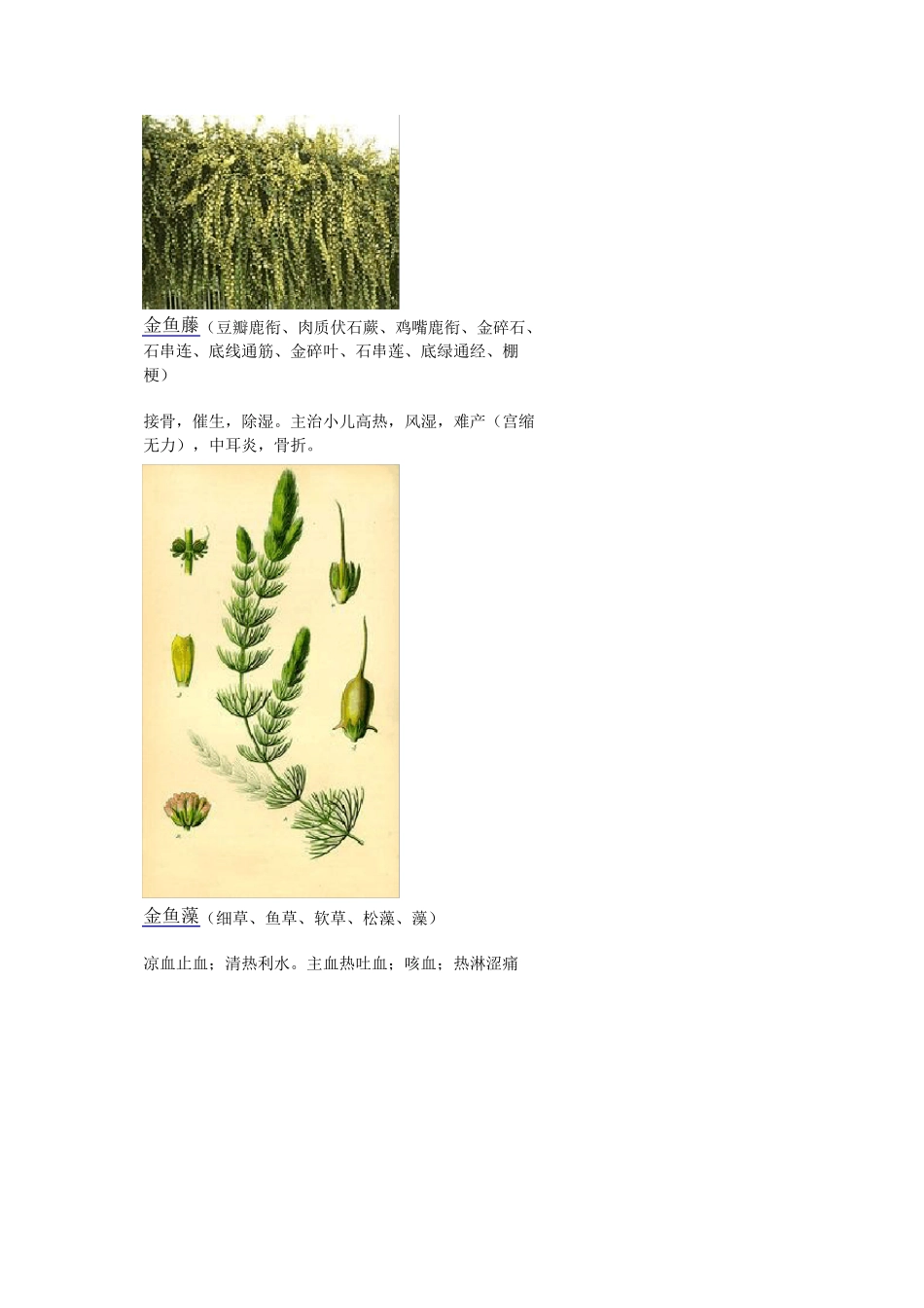 3000种中医药材第11011200种_第2页