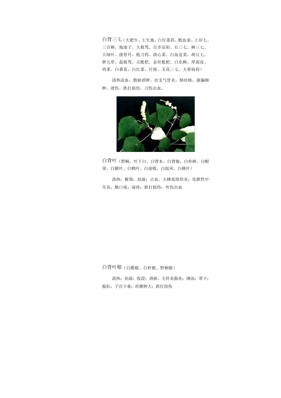 3000种中医药材第11100种_第3页