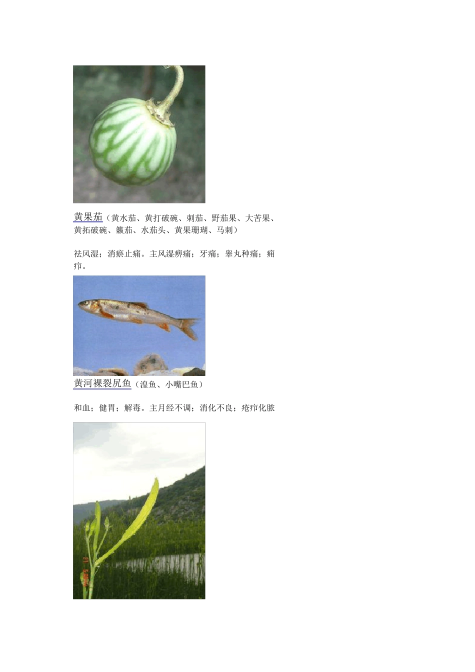 3000种中医药材第9011000种_第2页