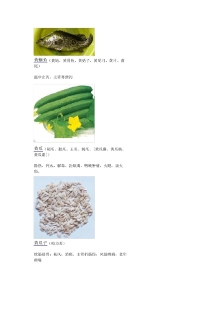 3000种中医药材第9011000种