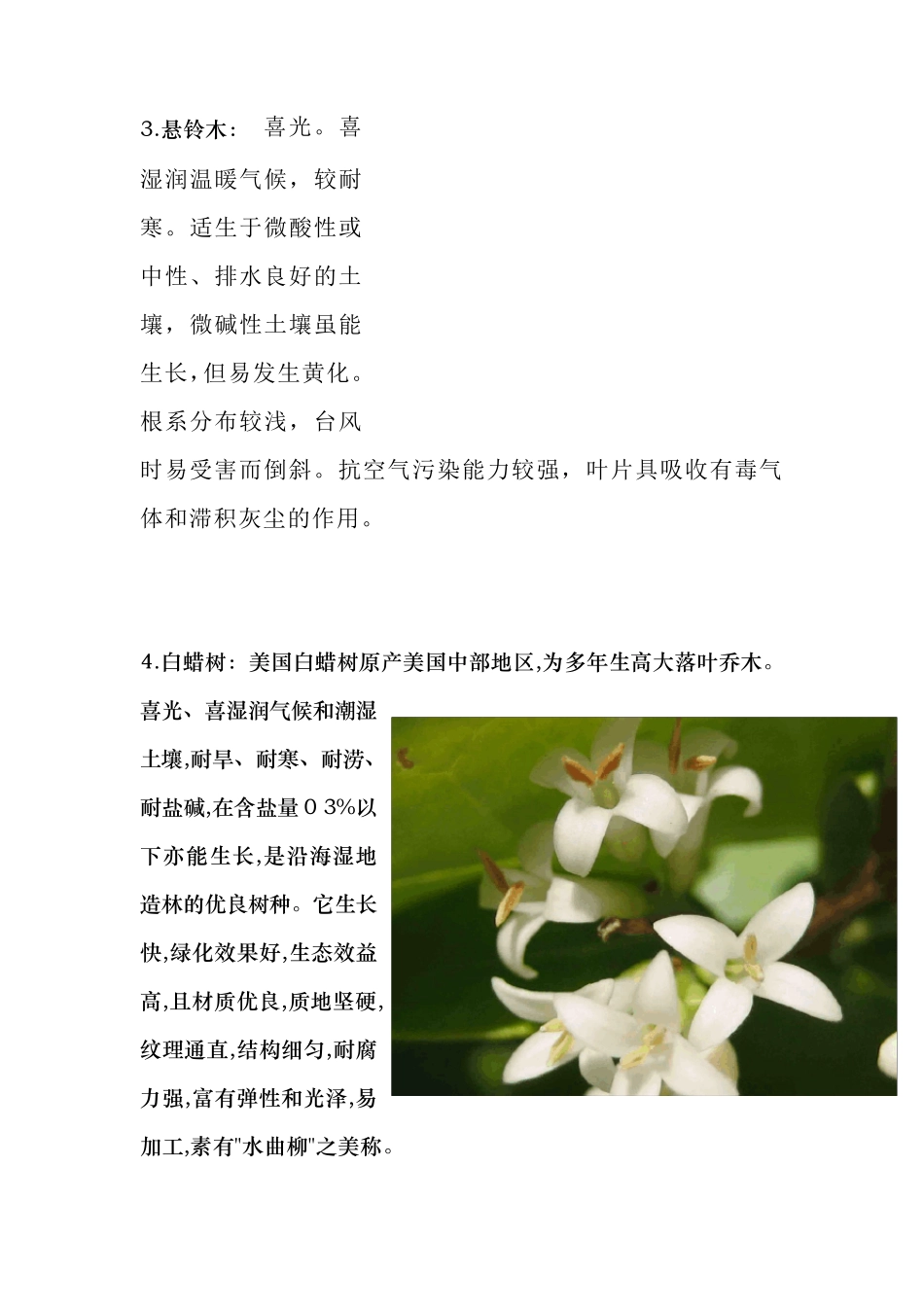 30种适合河南生长的植物_第2页