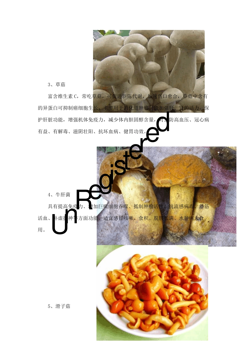 32种菌类的功效_第2页