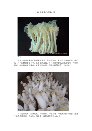 32种菌类的功效介绍