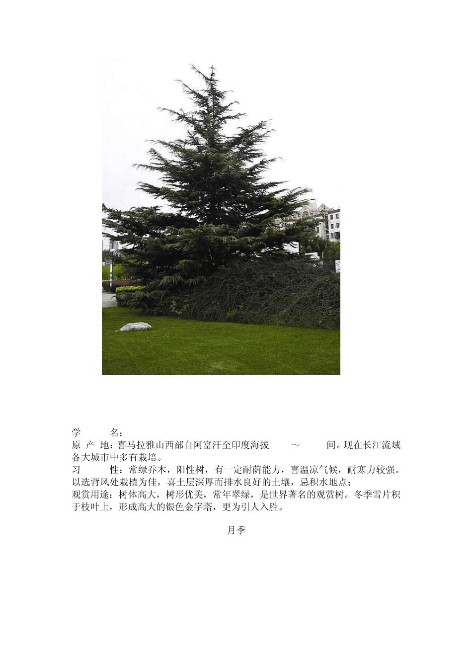 36种北京地区乡土植物介绍_第3页