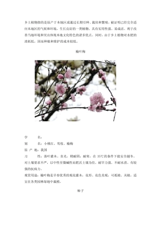 36种北京地区乡土植物介绍