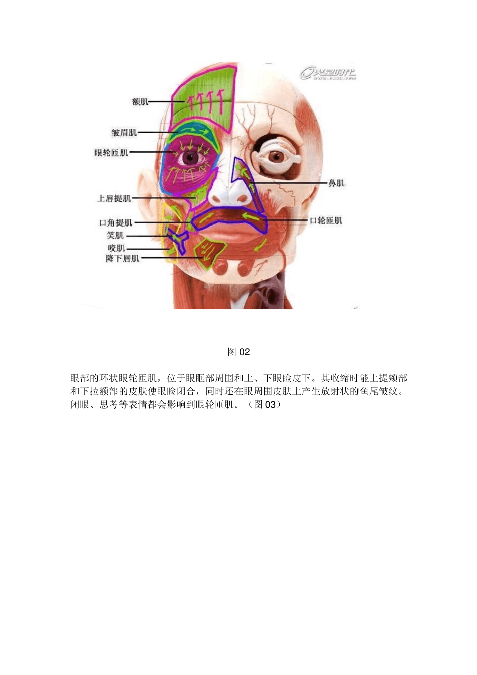 3dsmax布线规范_第3页