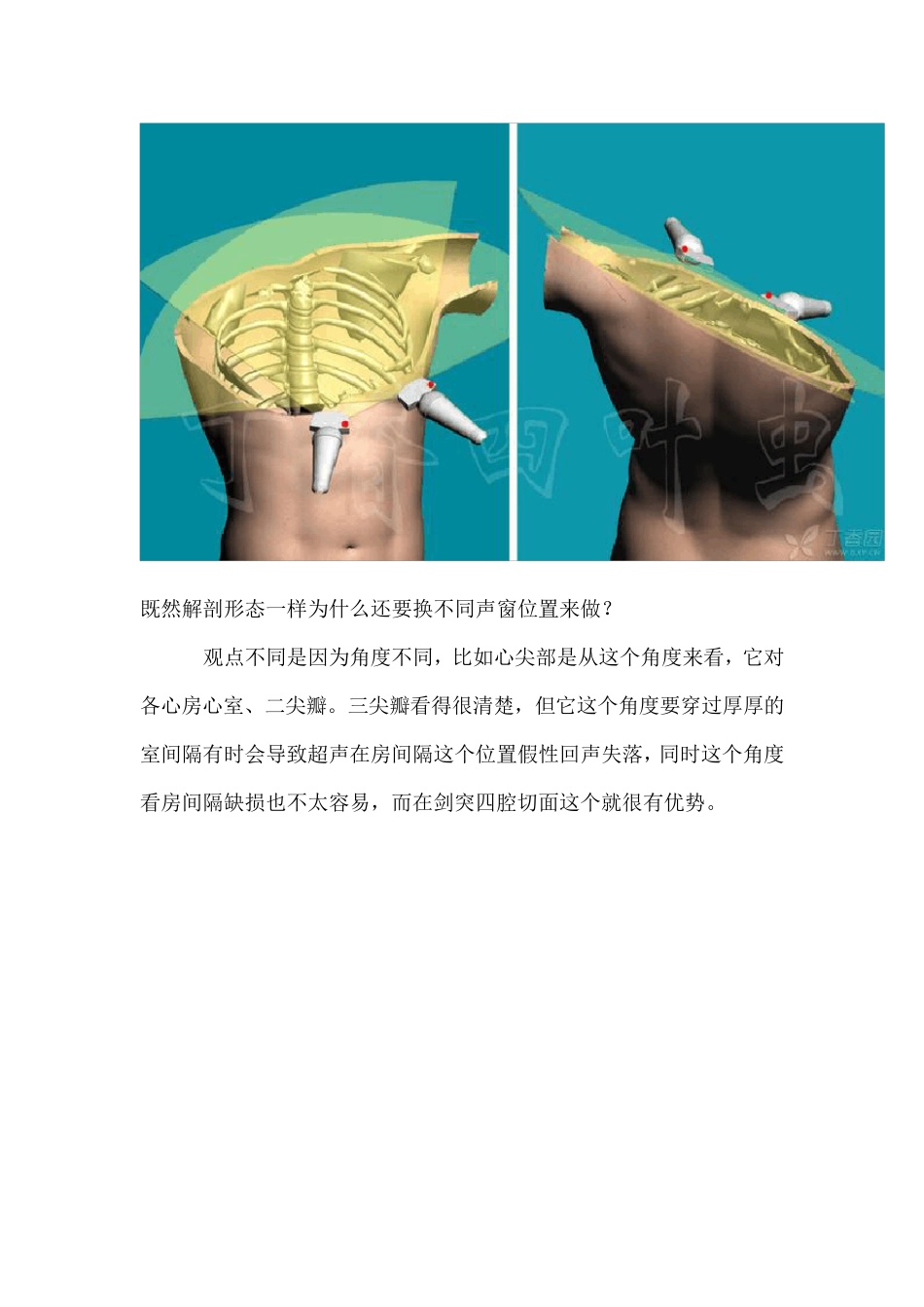 3D图解心脏解剖与心脏超声切面_第3页