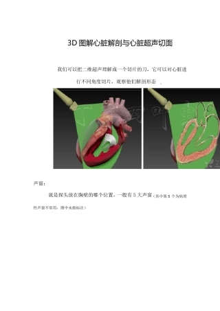 3D图解心脏解剖与心脏超声切面