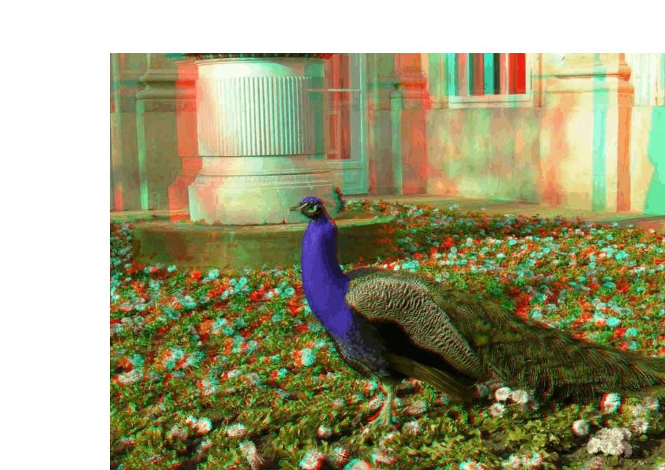 3D图片鉴赏(红绿眼镜专用)_第3页