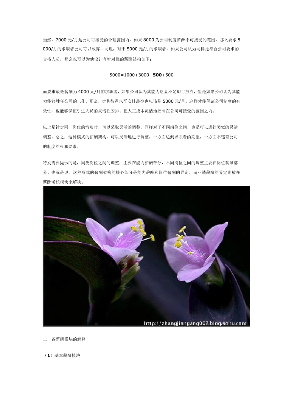 3P薪酬设计_第2页