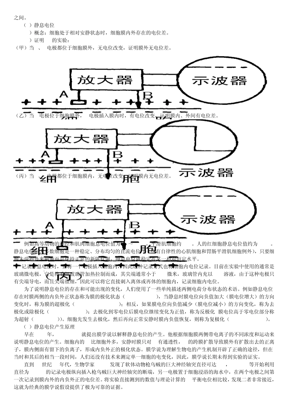 3细胞的生物电活动_第2页