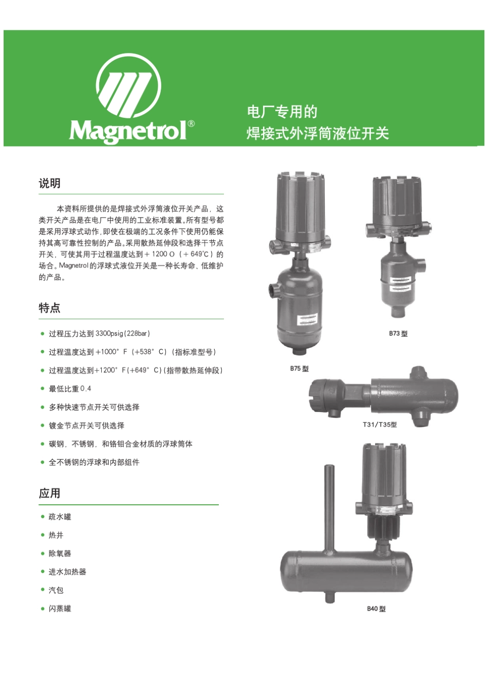 46160电厂液位开关专用样本_第1页