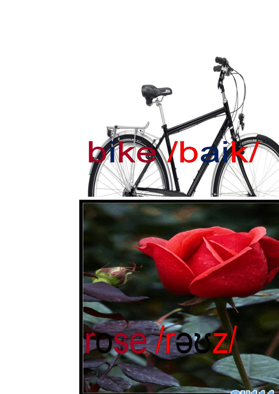 48个国际音标(乐易一级)单词卡片图文版_第2页