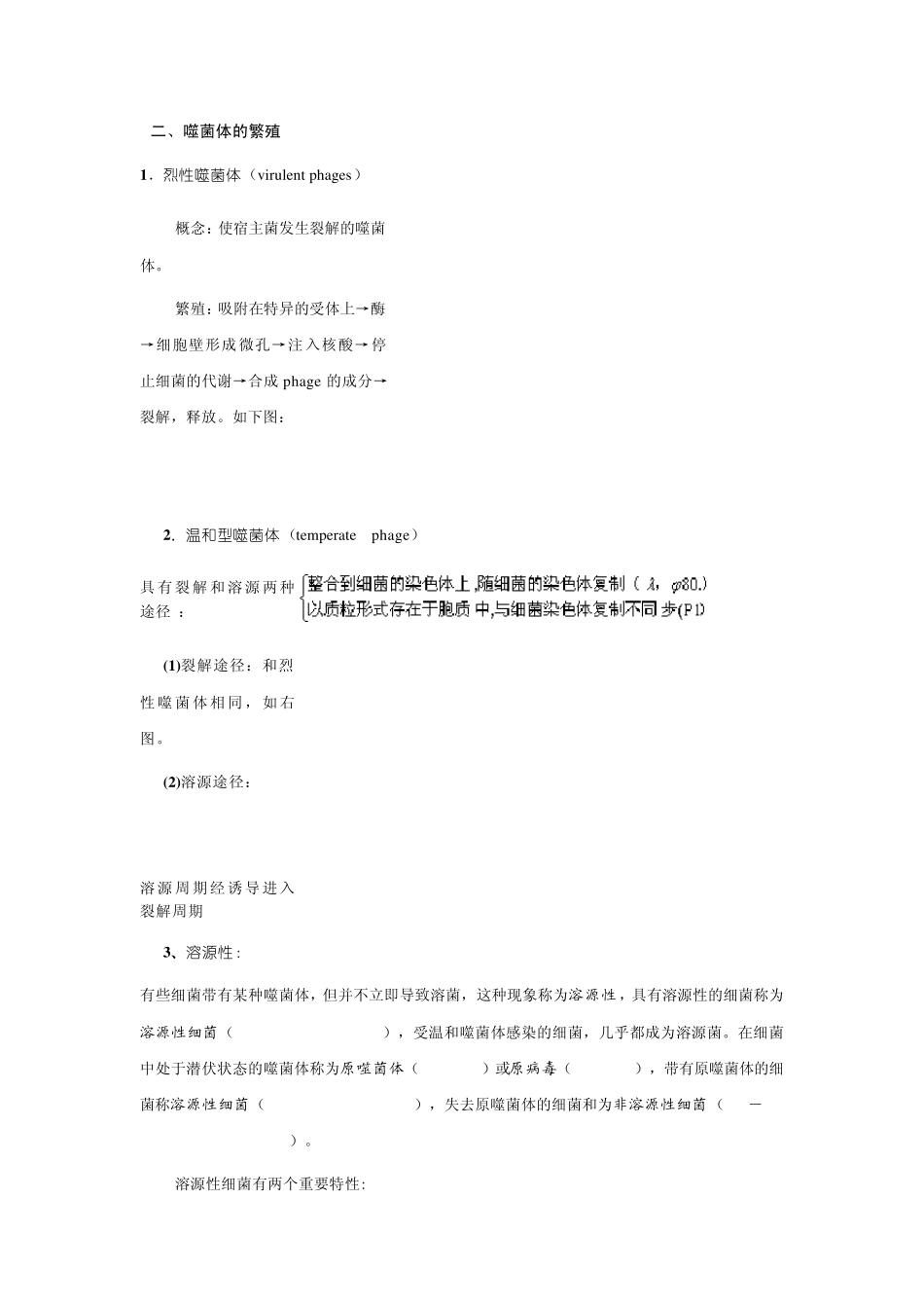 4第四章病毒的遗传分析_第2页