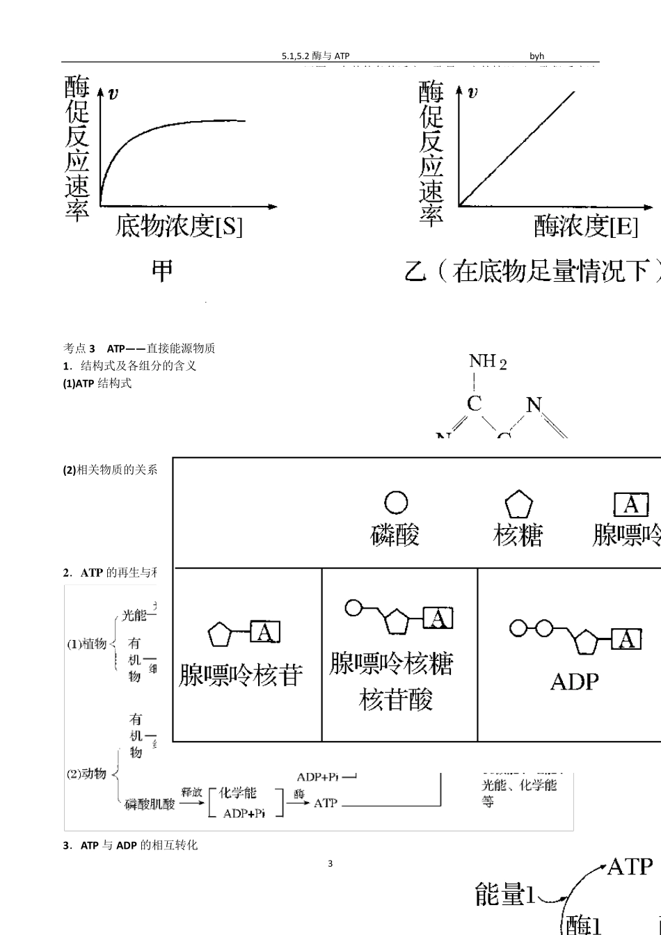 5.1,5.2酶和ATP——知识点_第3页