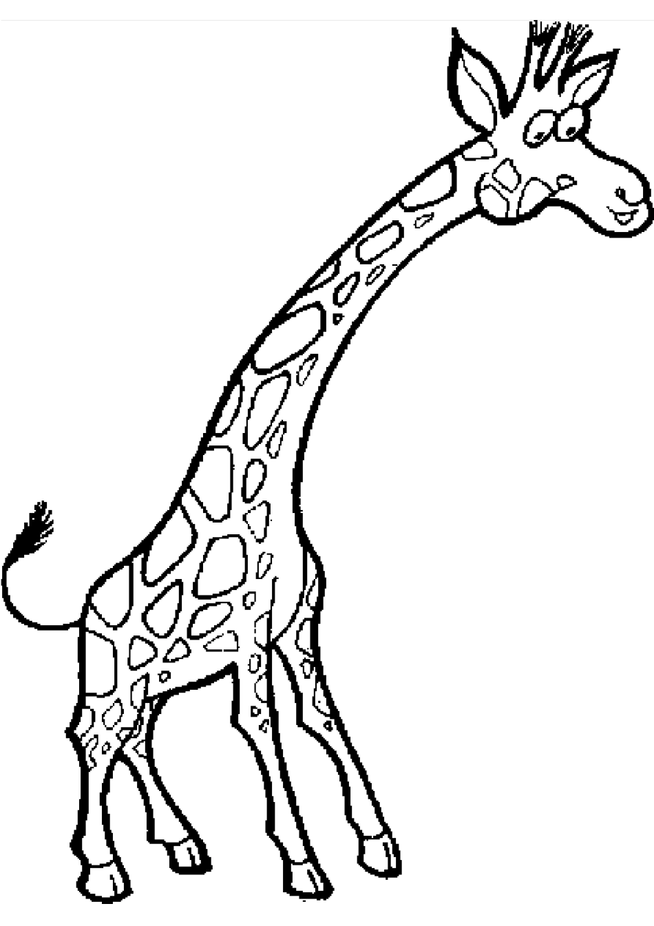 50种动物简笔画_第2页