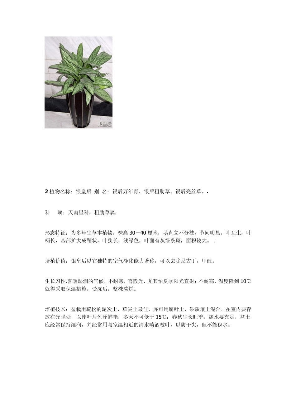 50种常见室内盆栽绿化植物简介_第2页