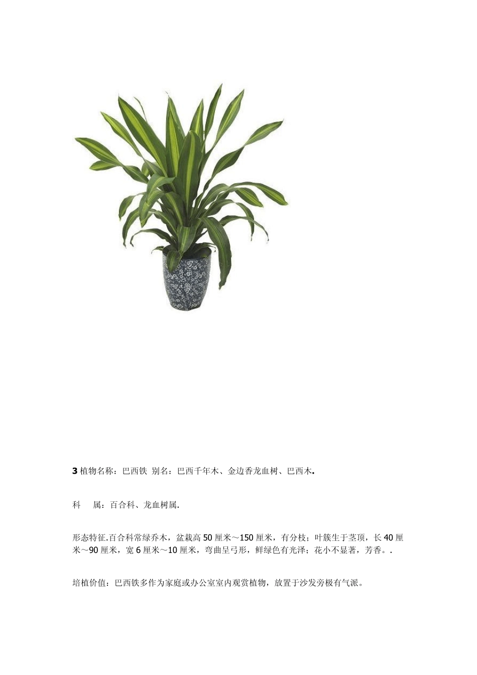 50种常见室内盆栽绿化植物简介_第3页