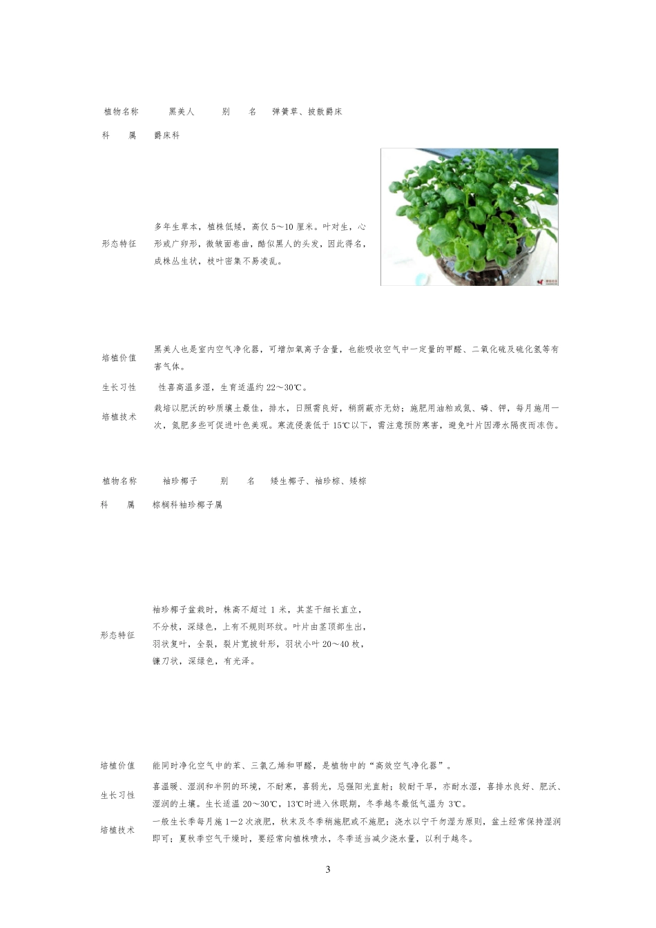50种常见室内绿化植物介绍(带高清图片)_第3页