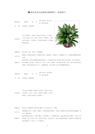 50种常见室内绿化植物介绍(带高清图片)
