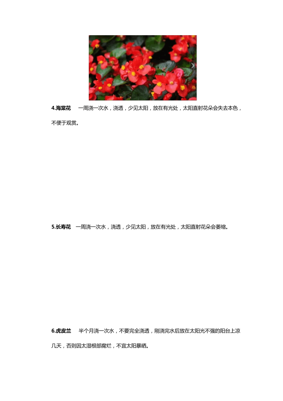 50种常见花卉养护方法_第2页