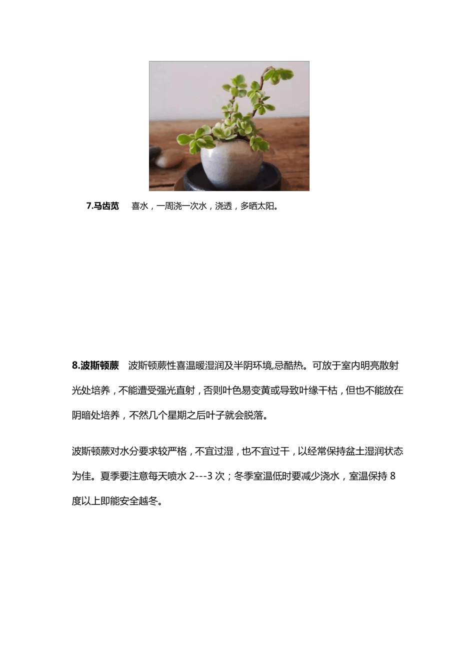 50种常见花卉养护方法_第3页