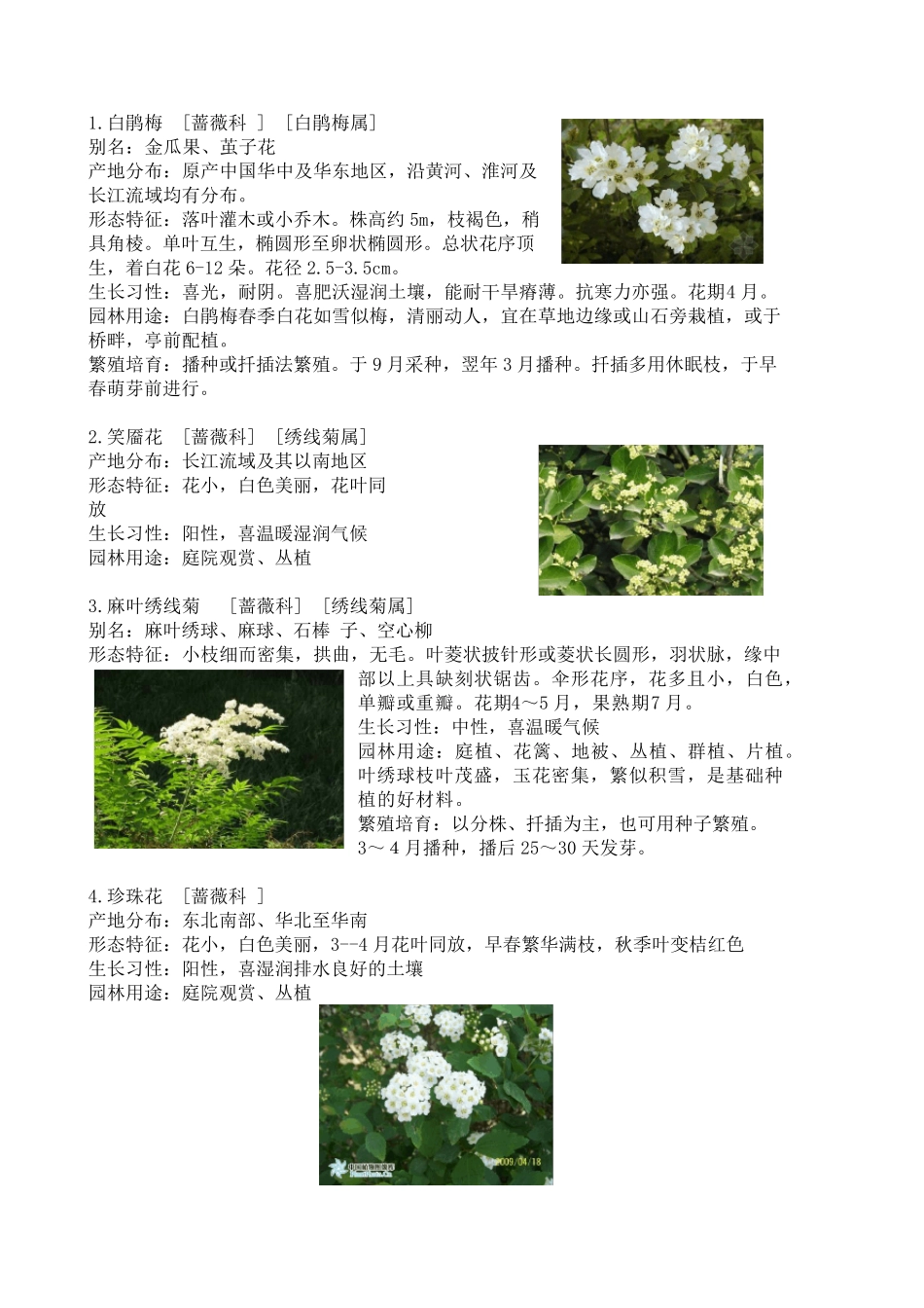 50种木本植物_第2页