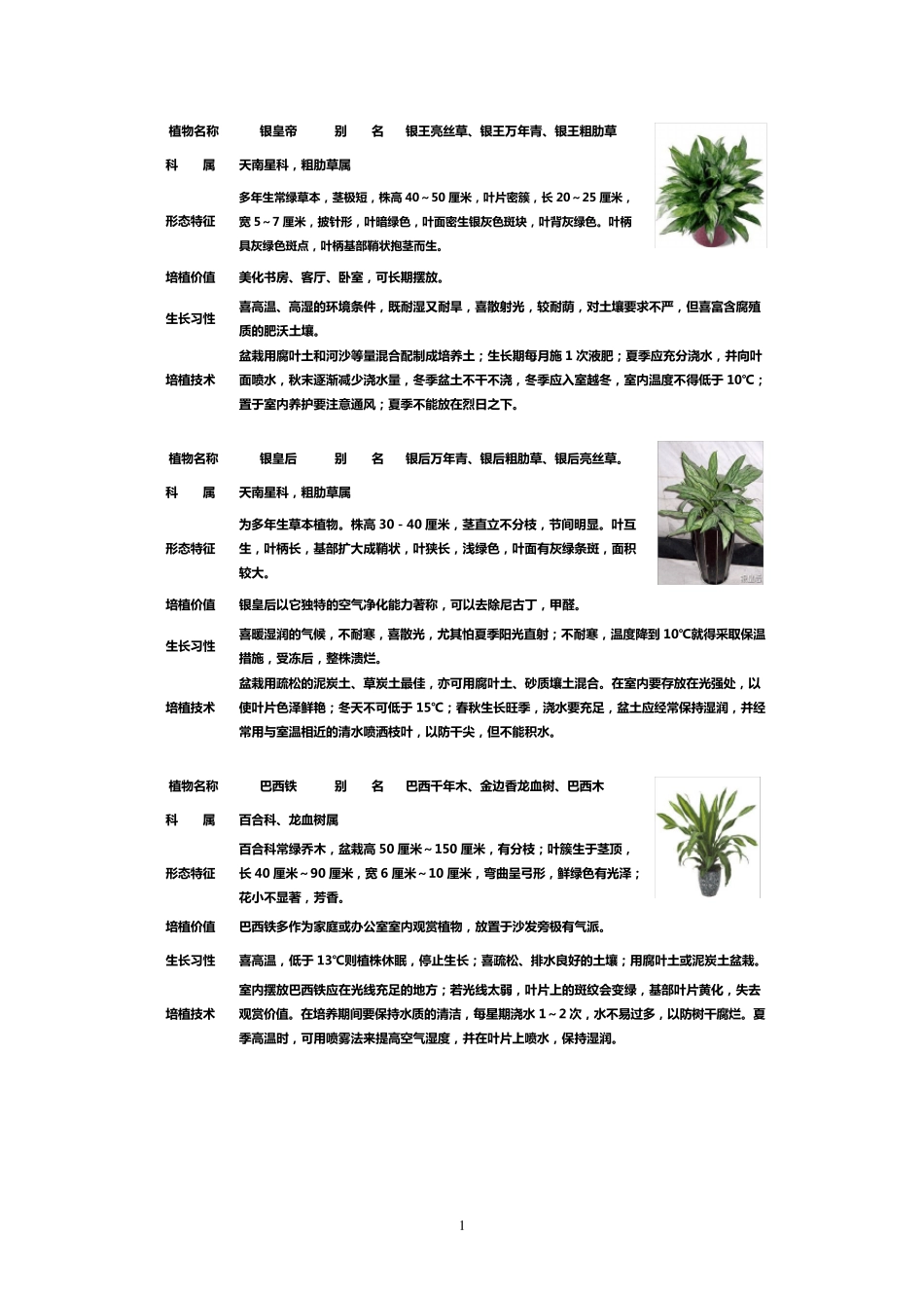 50种盆栽植物图片及名称_第1页