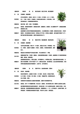 50种盆栽植物图片及名称