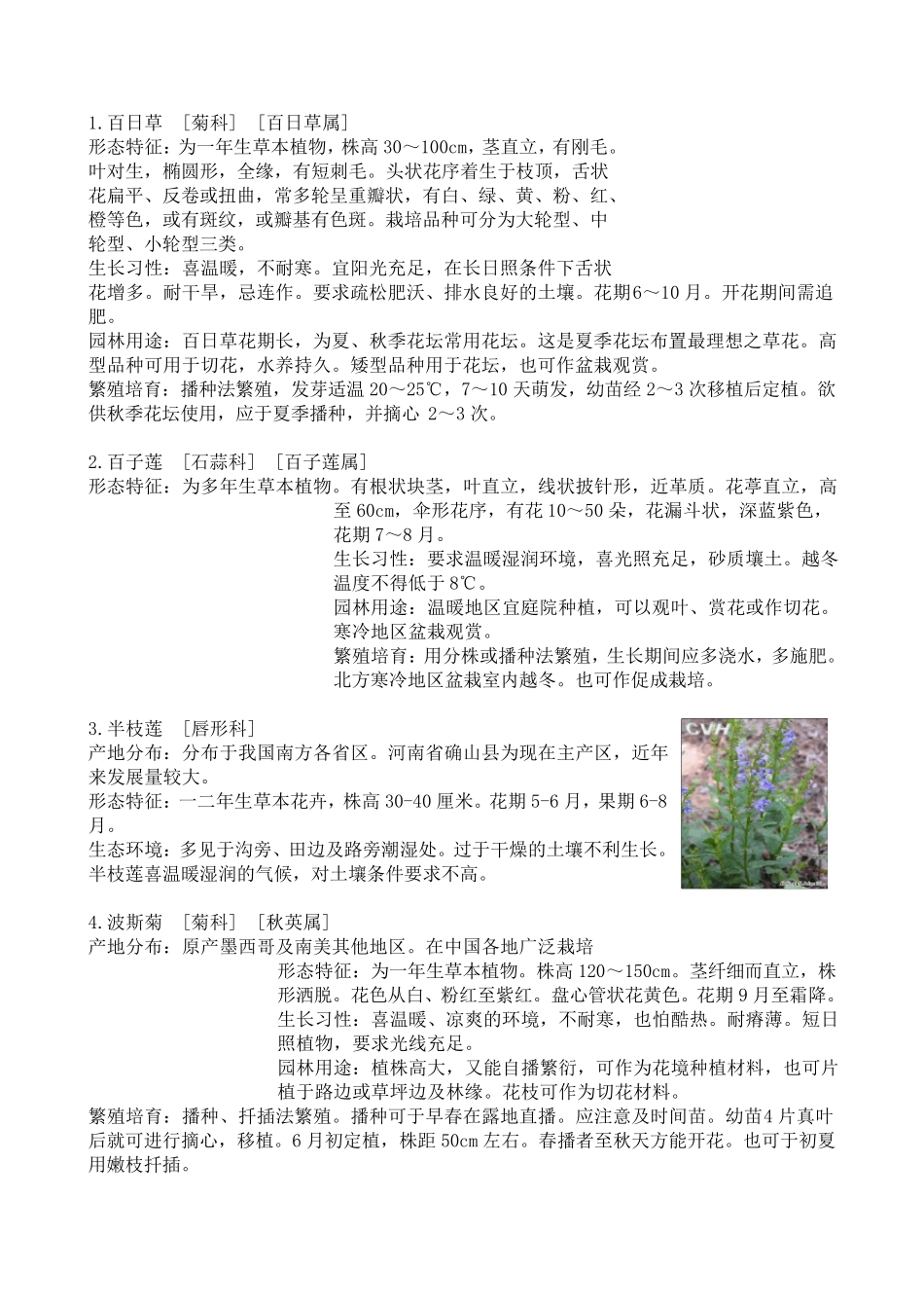 50种草本植物_第2页