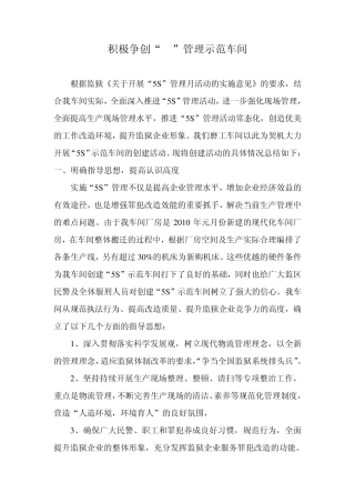 5S活动总结