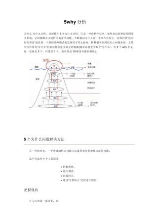 5why分析