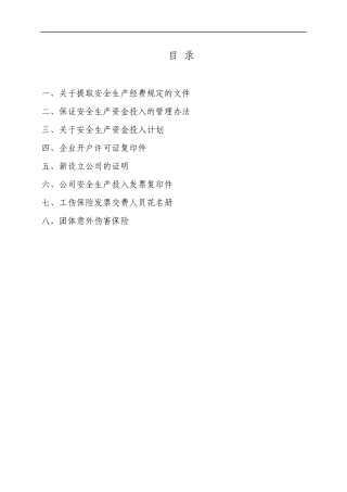 5保证安全生产投入文件
