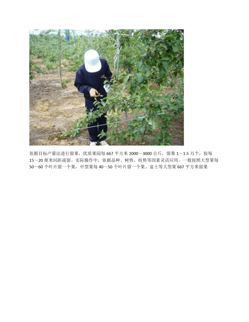 5月份苹果园管理技术_第3页
