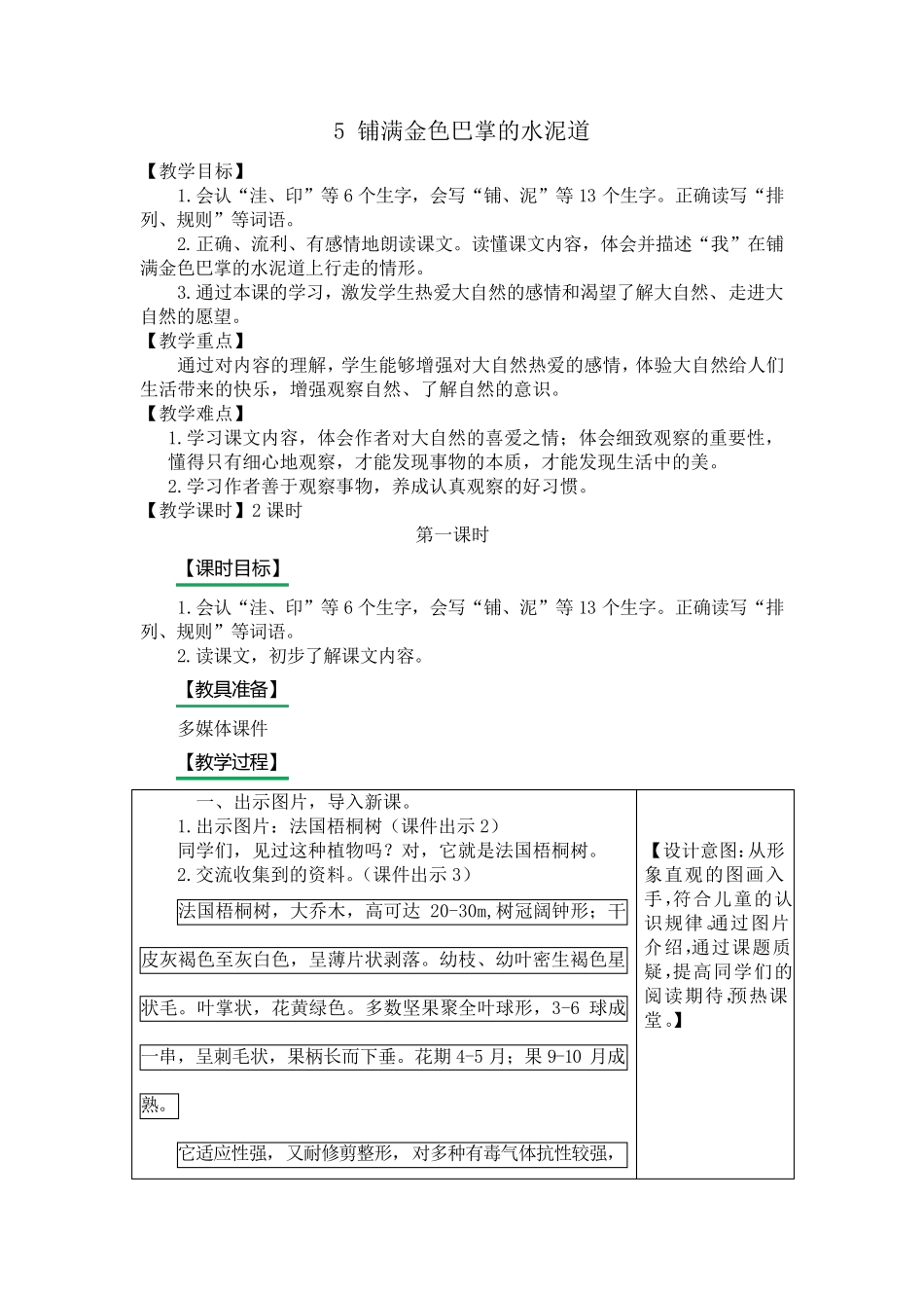 5铺满金色巴掌的水泥道优秀教案_第1页