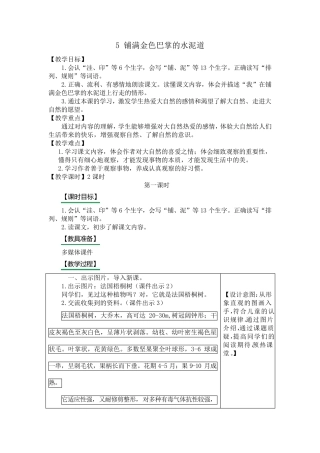 5铺满金色巴掌的水泥道优秀教案