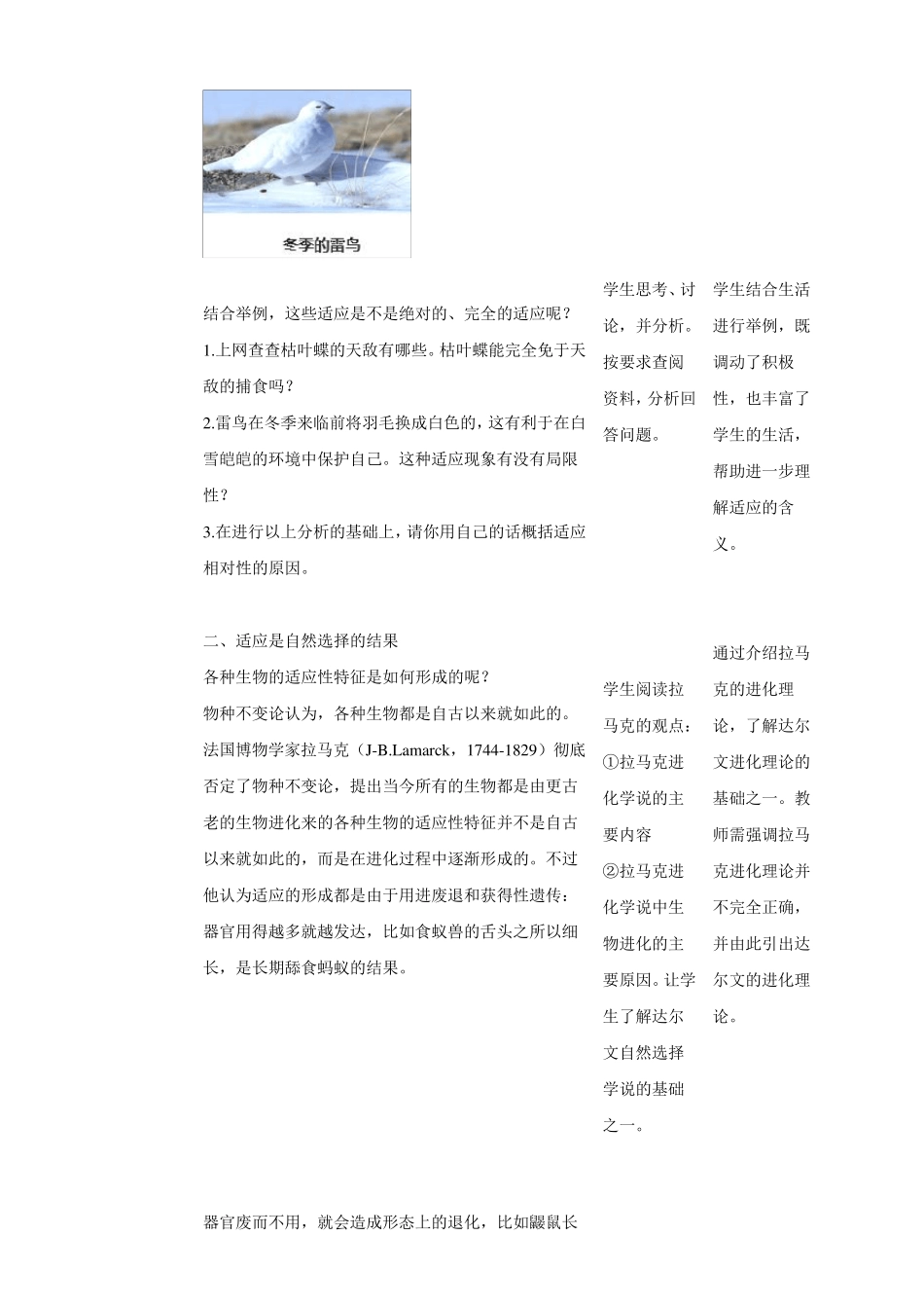 6.2自然选择与适应的形成教案_第3页