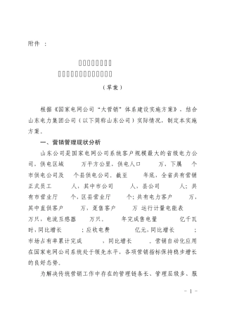 6.山东电力集团公司“大营销”体系建设实施方案(上会稿)
