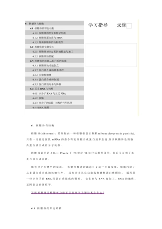 6.核糖体与核酶