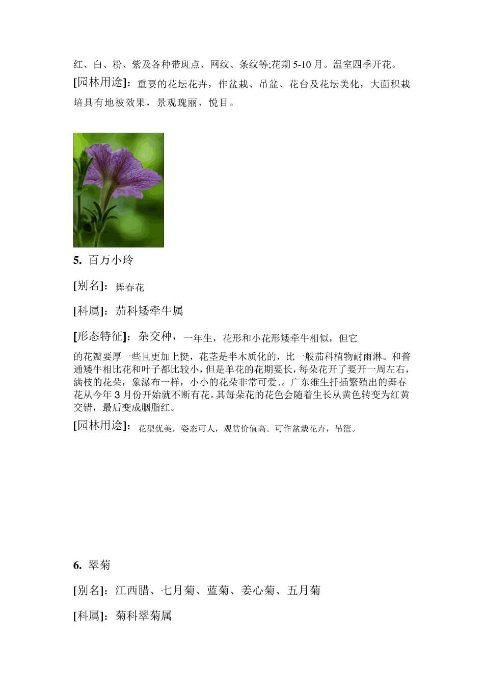 60种花卉介绍_第3页