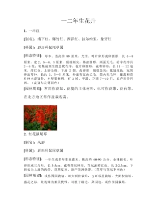 60种花卉介绍