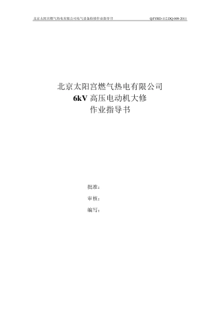 6kV高压电动机大修作业指导书