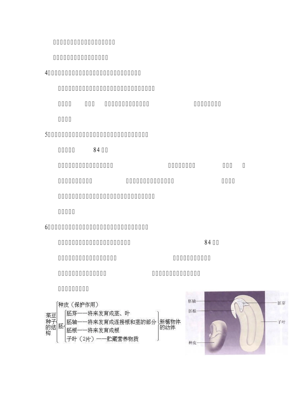 6植物细胞和动物细胞结构的区别以及各个结构的功能_第3页