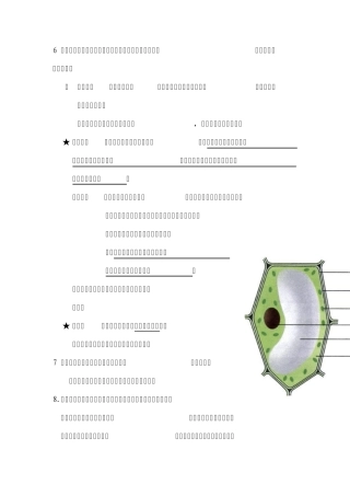 6植物细胞和动物细胞结构的区别以及各个结构的功能